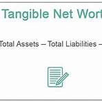 tangible net worth formula3