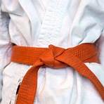 qué significa la cinta blanca en taekwondo2