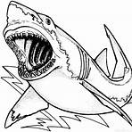 tiburón dibujo tierno3
