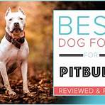 the best dog food for pitbulls2