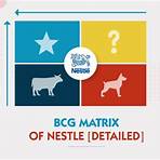 bcg matrix of nestle2