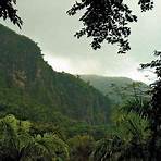 San Lorenzo (Puerto Rico) wikipedia1