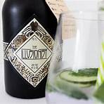 gin illusionist rezept1