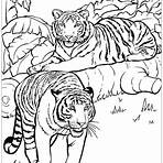 desenhos de tigres4