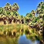 palm springs kalifornien3