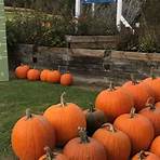 things to do in western pennsylvania in the fall festival2
