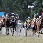 What is harness horse racing?2