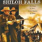 Shiloh Falls Film2