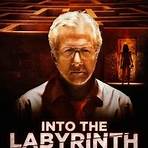 Into the Labyrinth (film)3