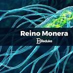 reino monera1