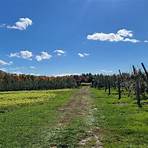 gourmet carmel apple orchard new york mills new york ny 10036 map new york4