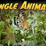 Jungle1