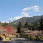 日本 仙巖園2