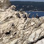 How long does it take to hike Point Lobos?2