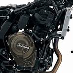 What kind of engine does a Suzuki 800 have?3
