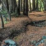 Roy's Redwoods Loop Trail Woodacre, CA2
