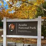 Are Dogs Allowed in Acadia National Park?4