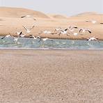 namibia walvis bay flamingo2