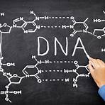 what does dna stand for in science3