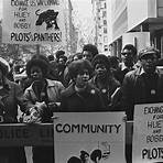 black panther party facts3