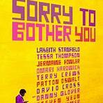 sorry to bother you kritik2