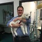 dr. warren o. cagney hospital for animals4