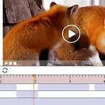 cool copy and paste stuff on a video editor3