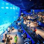 sea aquarium singapore resort world2