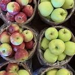 gourmet carmel apple orchard new york state 2020 calendar5
