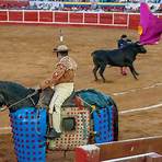 Bull Fighting4