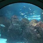 Adventure Aquarium1