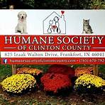 free clinton county daily news frankfort indiana classifieds pets available2