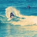 surfguide3