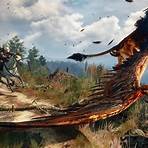 The Witcher (video game)5