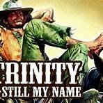 Trinity Is Still My Name4