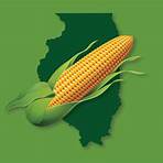 illinois corn growers association jobs available4