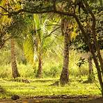 St. Cuthbert’s Mission ‎, Guyana3