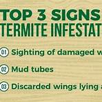 subterranean termites treatment cost singapore3