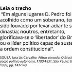 processo de independência do brasil 8 ano2