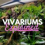 how to build a vivarium4