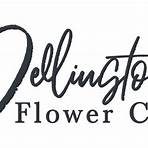 wellington new zealand flower delivery4