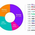 nielsen network2