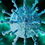 5 tipos de virus humanos1