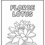 flor de lótus desenho colorida5