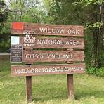 Willow Oak Natural Area Vineland, NJ1