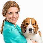 after hours veterinary emergency clinic1