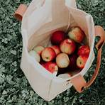 gourmet carmel apple orchard & market in columbus4