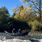shane watson fishing guide sacramento river3