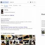 what is google search bar4