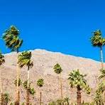 california palm springs4